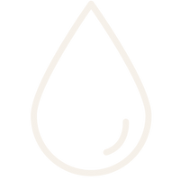 PLANT-BASED OILS